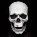 Skull Mask